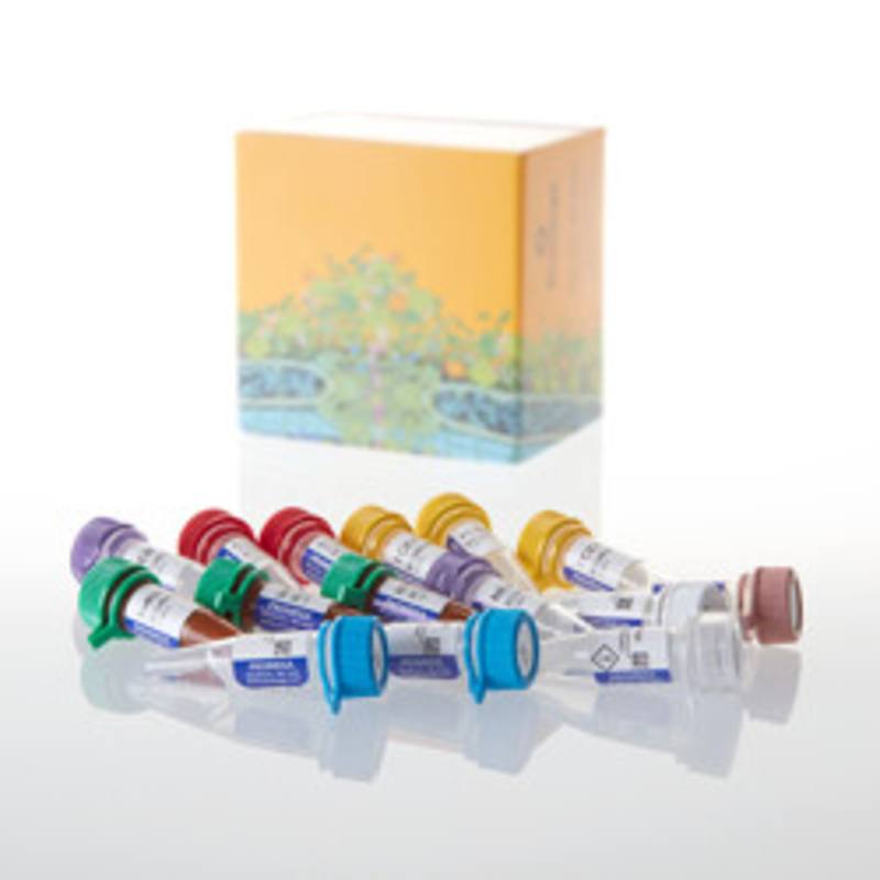 AccuMAP(TM) Low pH Protein Digestion Mini Kit