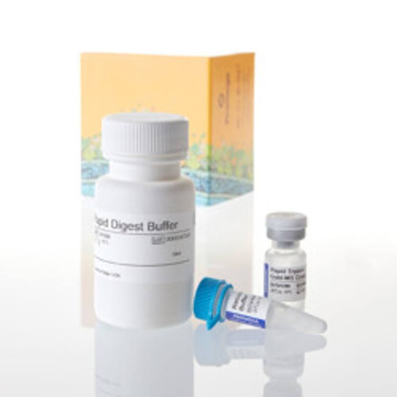 Rapid Digestion Kit - Trypsin