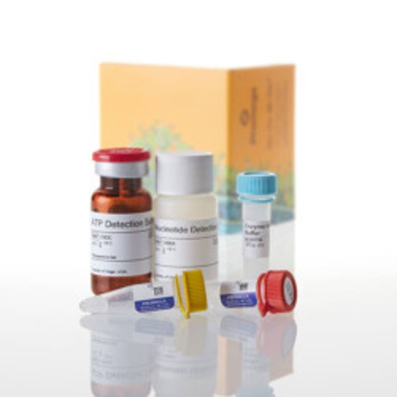 GDP-Glo(TM) Glycosyltransferase Assay, 200 assays