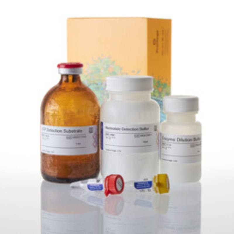GDP-Glo(TM) Glycosyltransferase Assay, 4,000 assays