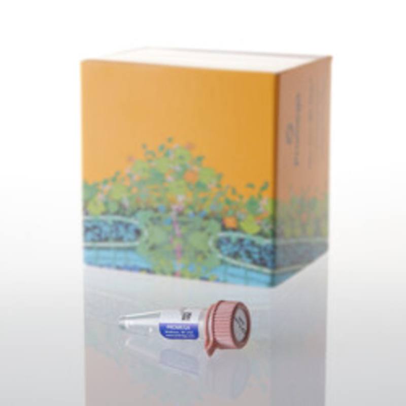 Ultra Pure GDP-Fucose, 50mM, 50ul