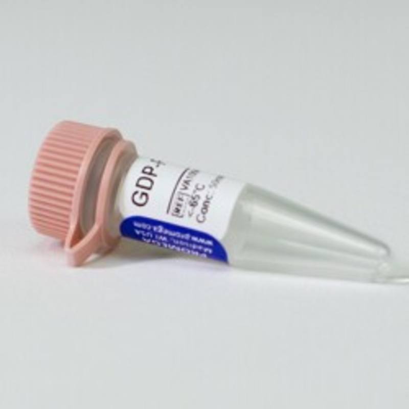 Ultra Pure GDP-Fucose, 50mM, 5x50ul