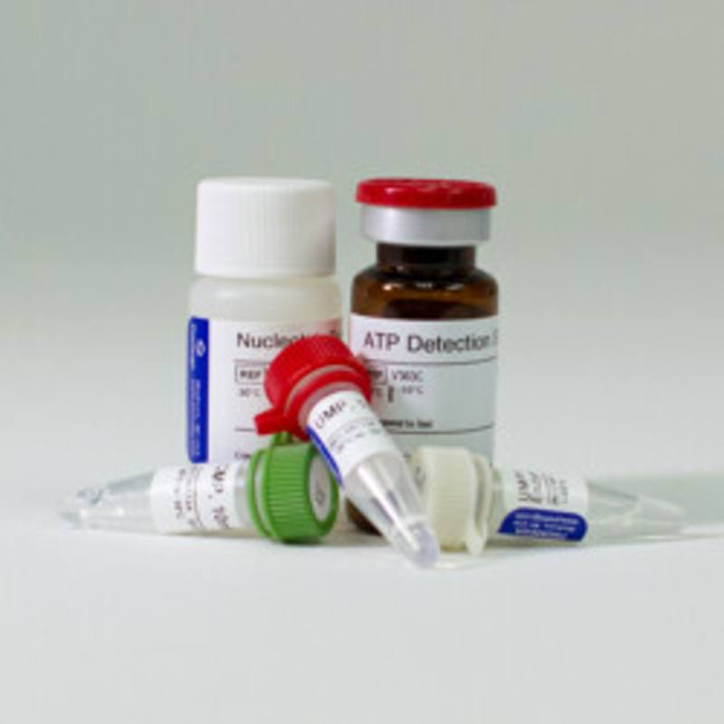 UMP/CMP-Glo(TM) Glycosyltransferase Assay, 200 assays