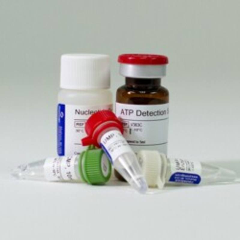 UMP/CMP-Glo(TM) Glycosyltransferase Assay, 4,000 assays