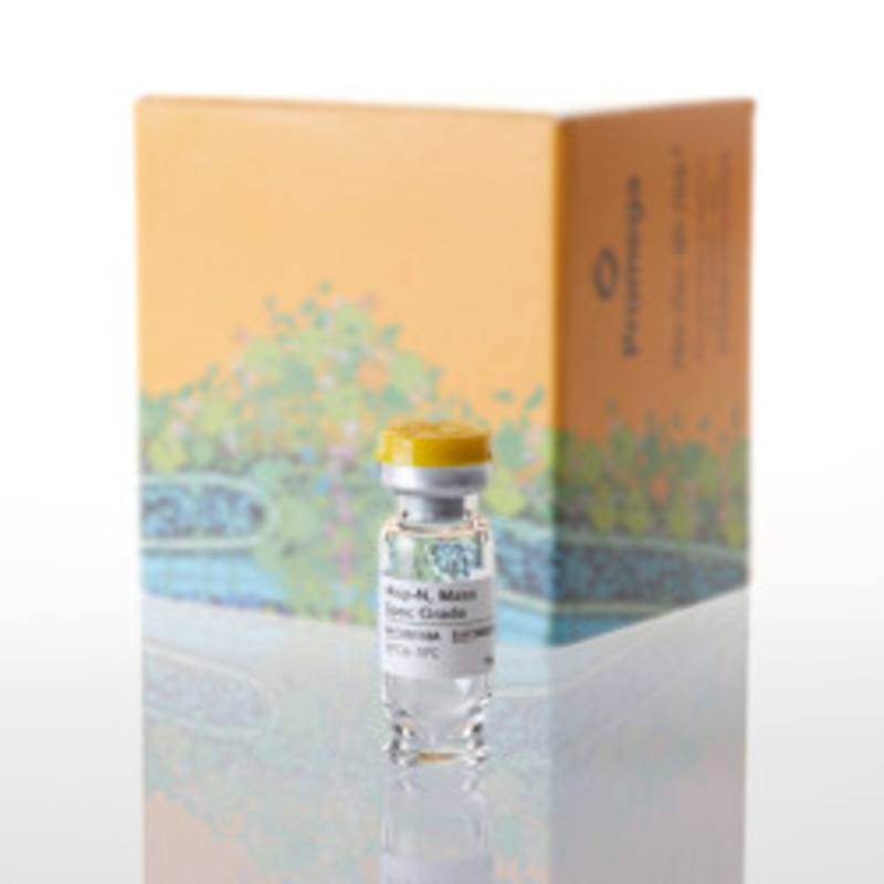 rAsp-N, Mass Spec Grade