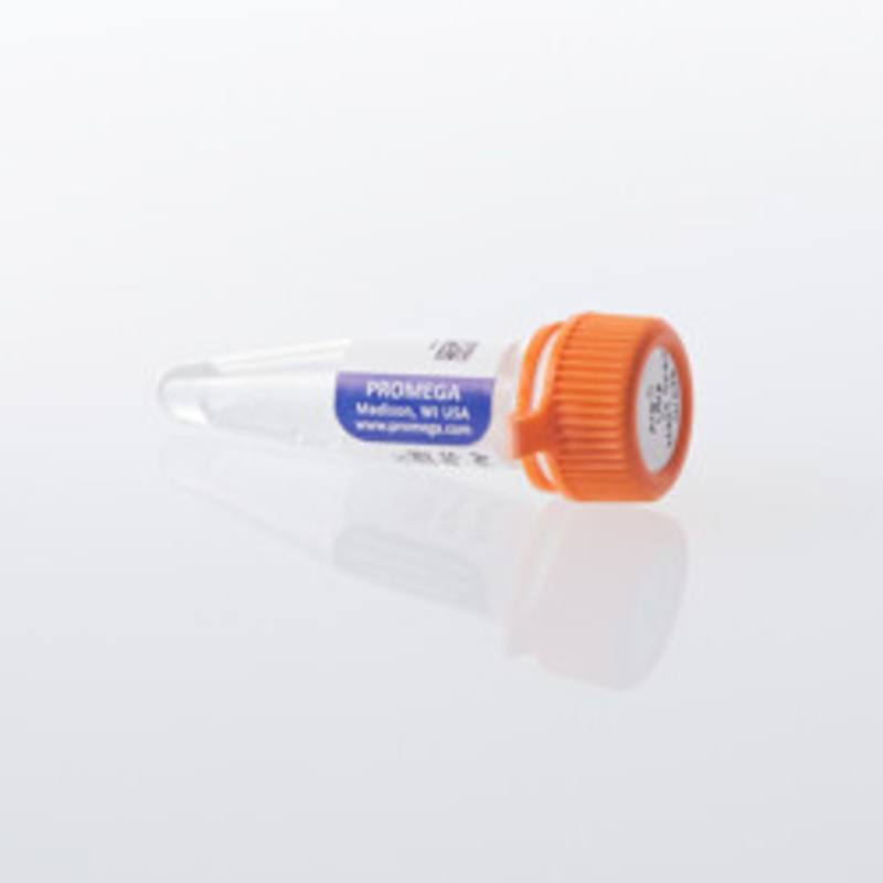 Arg-C Ultra, Mass Spec Grade, 20ug