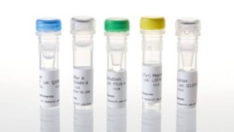 ADP-Glo(TM) Assay + AMPK (A2/B2/G1) Kinase Enzyme System