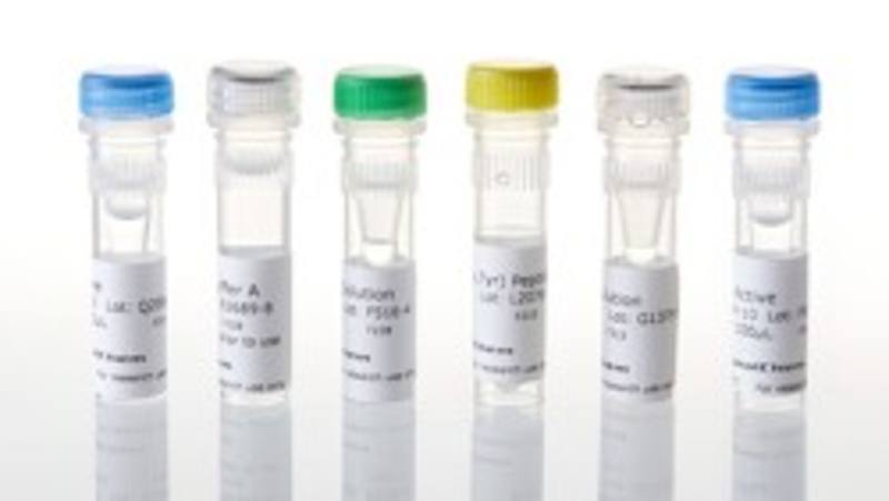 ADP-Glo(TM) Assay + EGFR (C797S L858R) Kinase Enzyme System