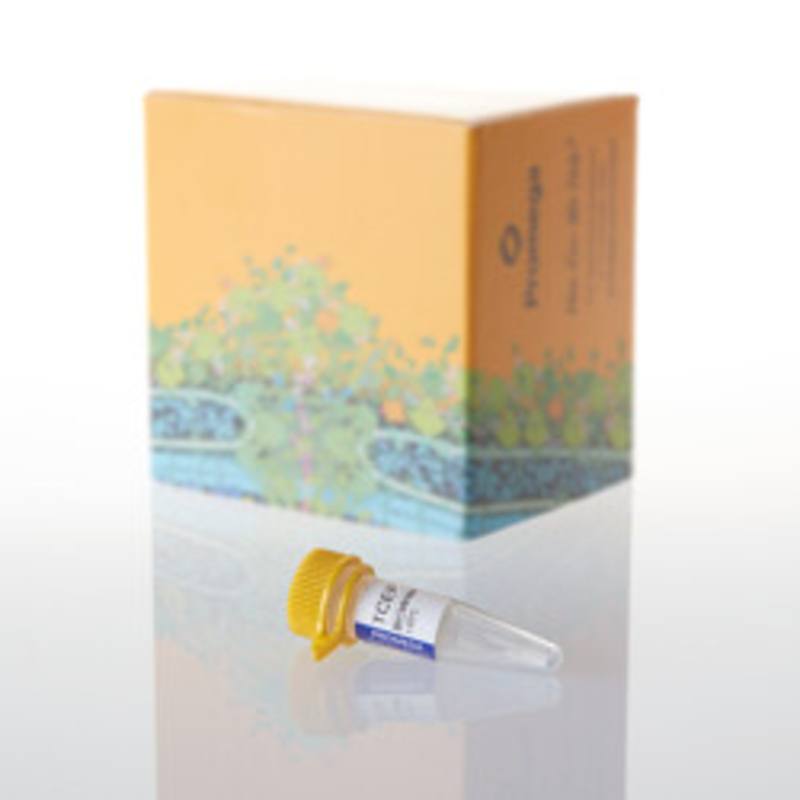 TCEP, 15mg