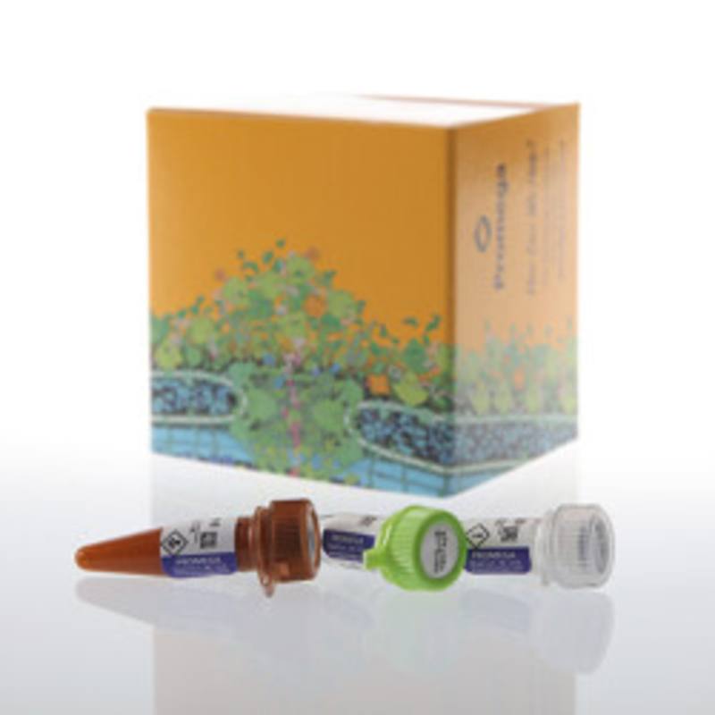 NanoLuc(R) Labeling Kit