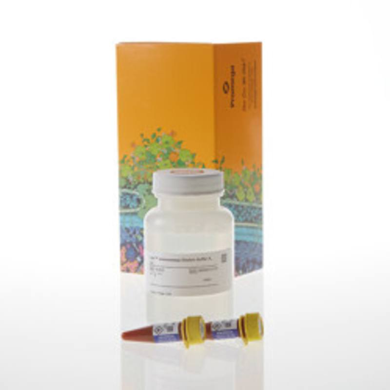 Lumit(R) Detection Reagent A, 5,000 assays