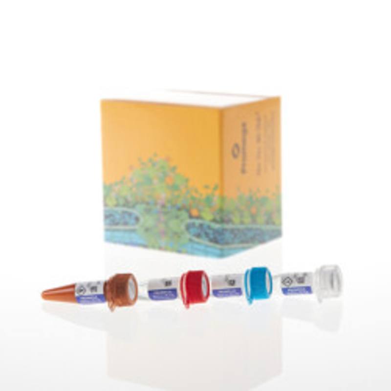 Lumit(R) Immunoassay Labeling Kit