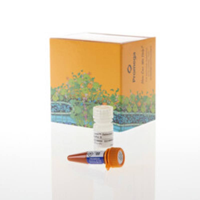 Lumit(R) Detection Reagent B, 100 assays