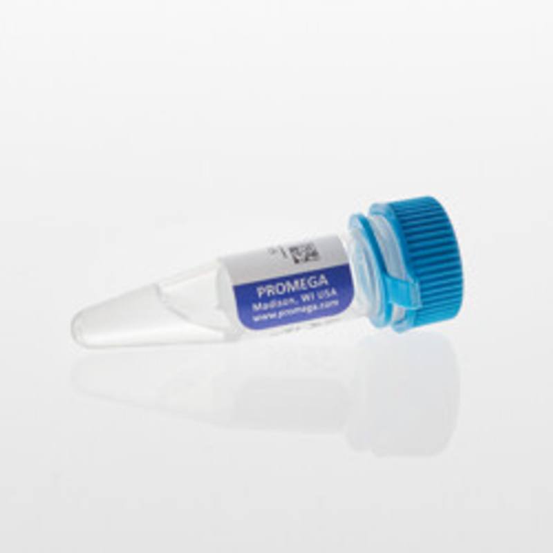 Lumit(R) Anti-Mouse Ab-LgBiT