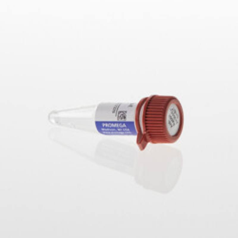 Lumit(R) Anti-Rabbit Ab-SmBiT