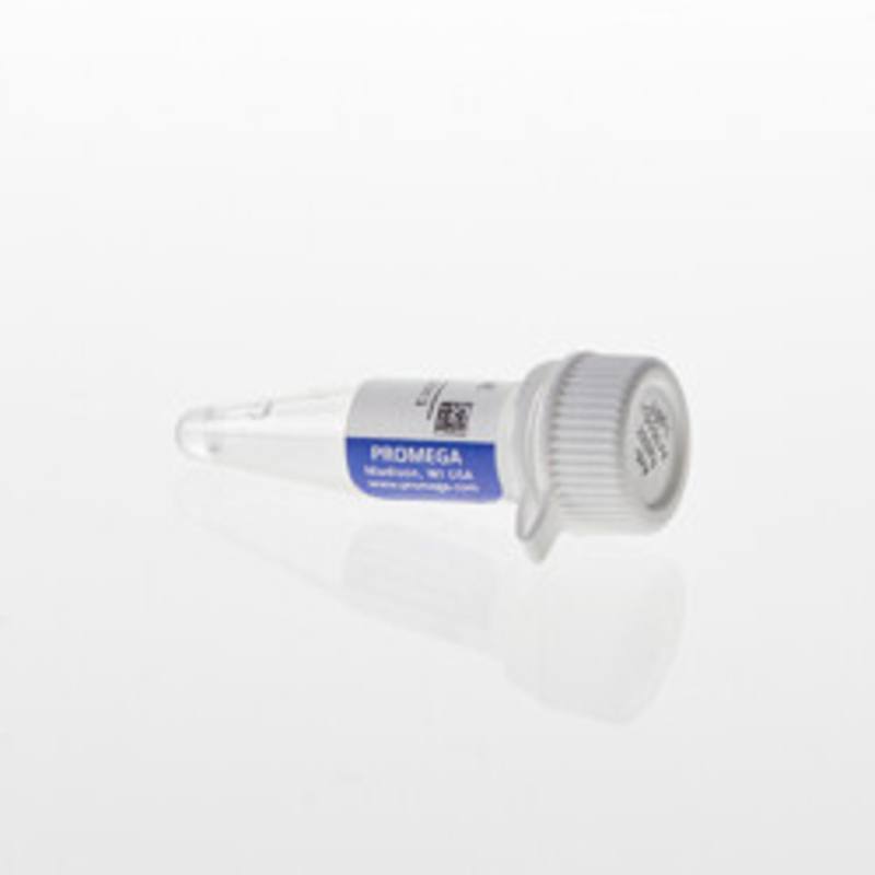 Lumit(R) Anti-Rabbit Ab-LgBiT