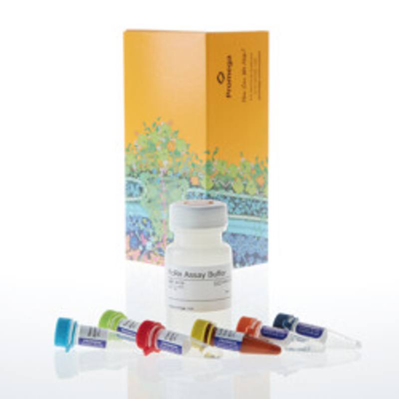 Lumit(R) FcRn Binding Immunoassay