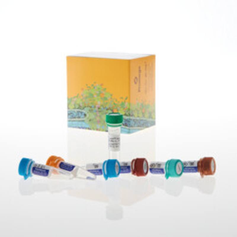 Lumit(R) Immunoassay Cellular System - Set 1, 100 assays