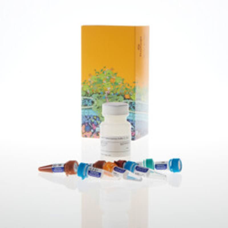 Lumit(R) Immunoassay Cellular System - Set 1, 1,000 assays