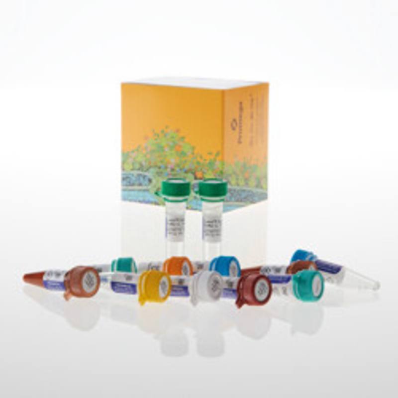 Lumit(R) Immunoassay Cellular System - Starter Kit, 200 asy