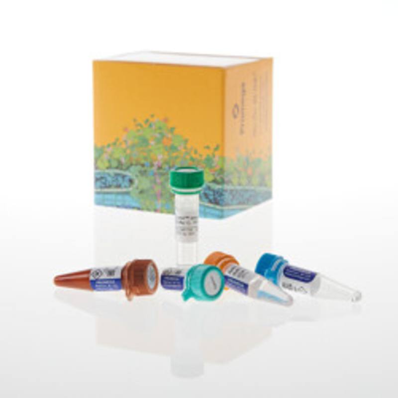 Lumit(R) Immunoassay Lysis and Detection Kit, 100 assays