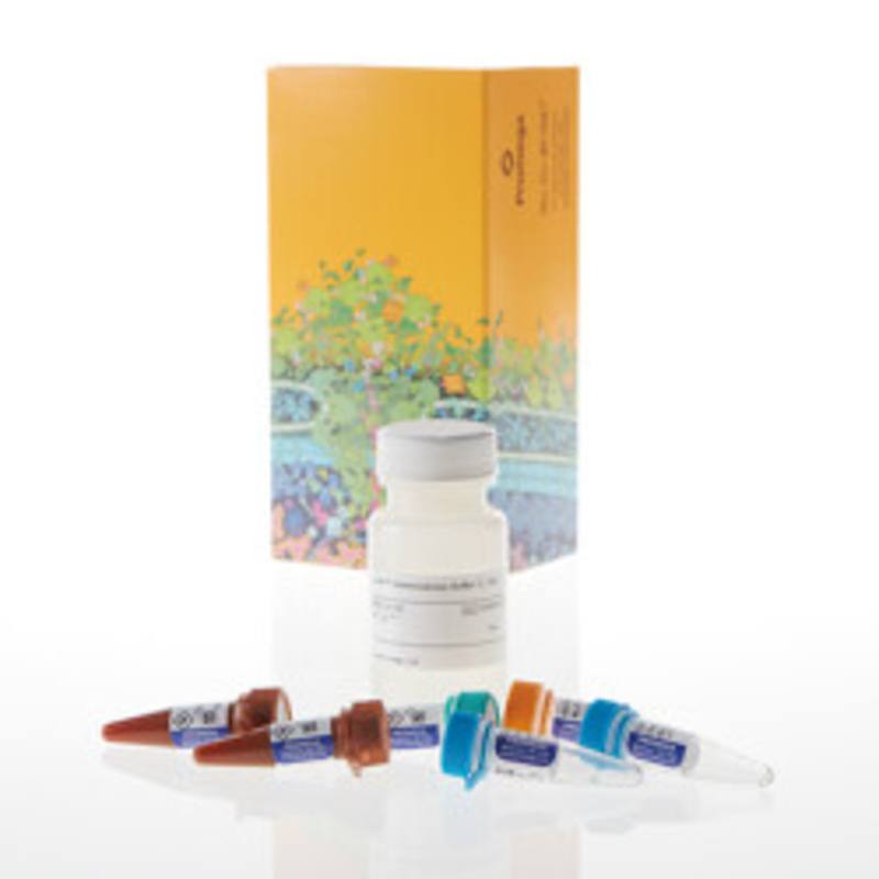 Lumit(R) Immunoassay Lysis and Detection Kit, 10,000 assays