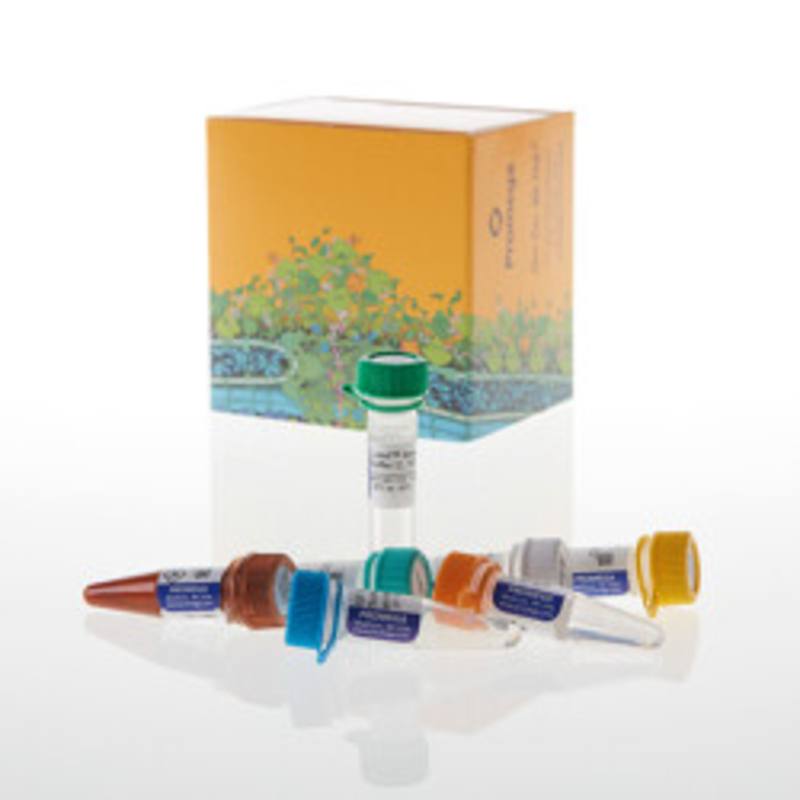 Lumit(R) Immunoassay Cellular System - Set 2, 100 Assays