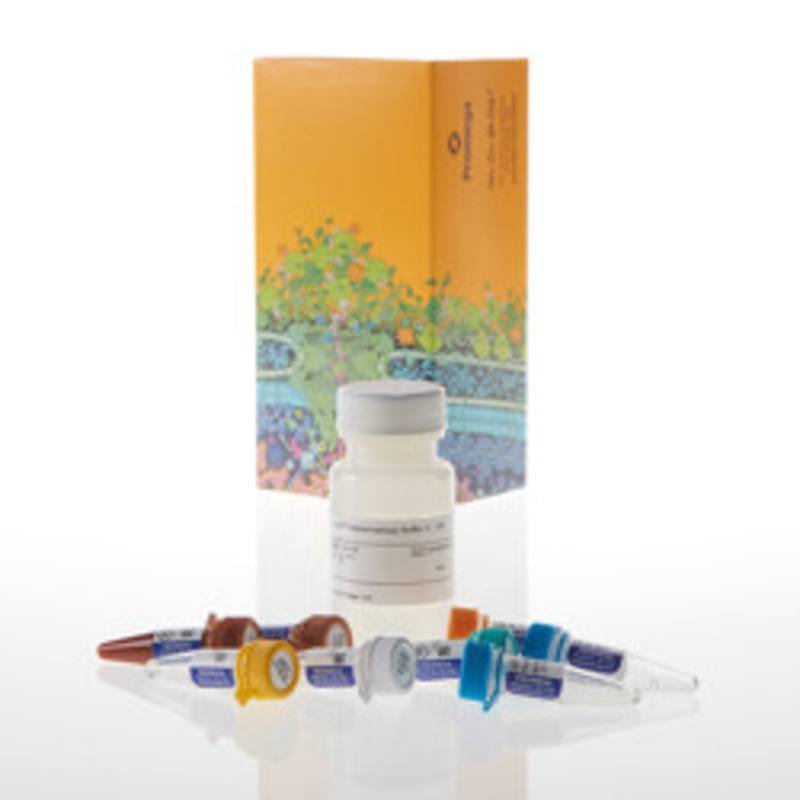 Lumit(R) Immunoassay Cellular System - Set 2, 1,000 assays