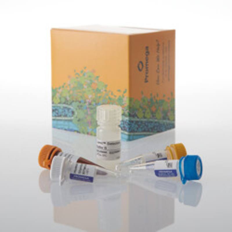 Lumit(R) IL-17A (Human) Immunoassay, 100 assays
