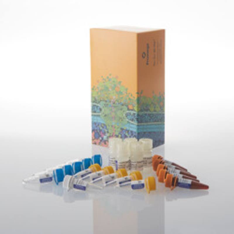Lumit(R) IL-17A (Human) Immunoassay, 500 assays