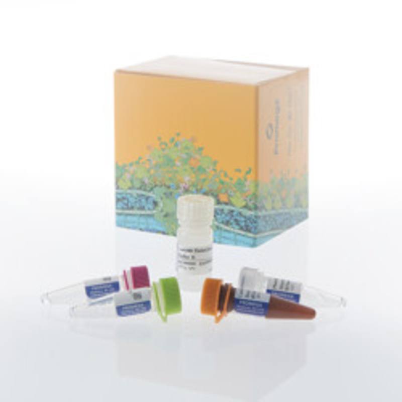 Lumit(R) IL-8/CXCL8 (Human) Immunoassay, 100 assays