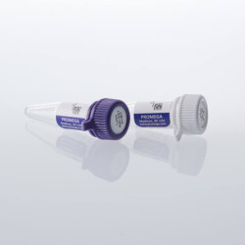 Lumit (R) Anti-GST-LgBiT and -SmBiT, 20ul