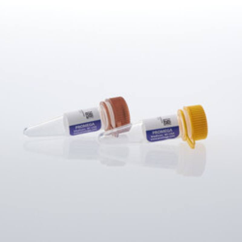 Lumit(R) Anti-DYKDDDDK-LgBiT and -SmBiT, 20ul