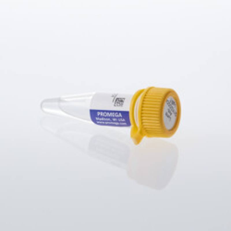 Lumit(R) Anti-DYKDDDDK-LgBiT, 200ul