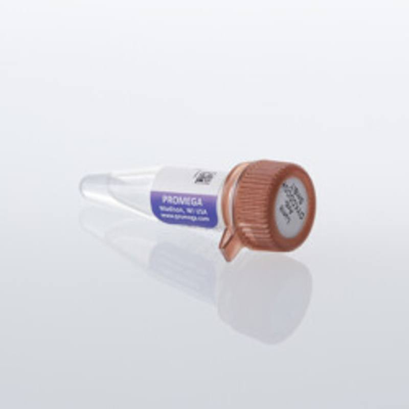 Lumit(R) Anti-DYKDDDDK-SmBiT, 200ul