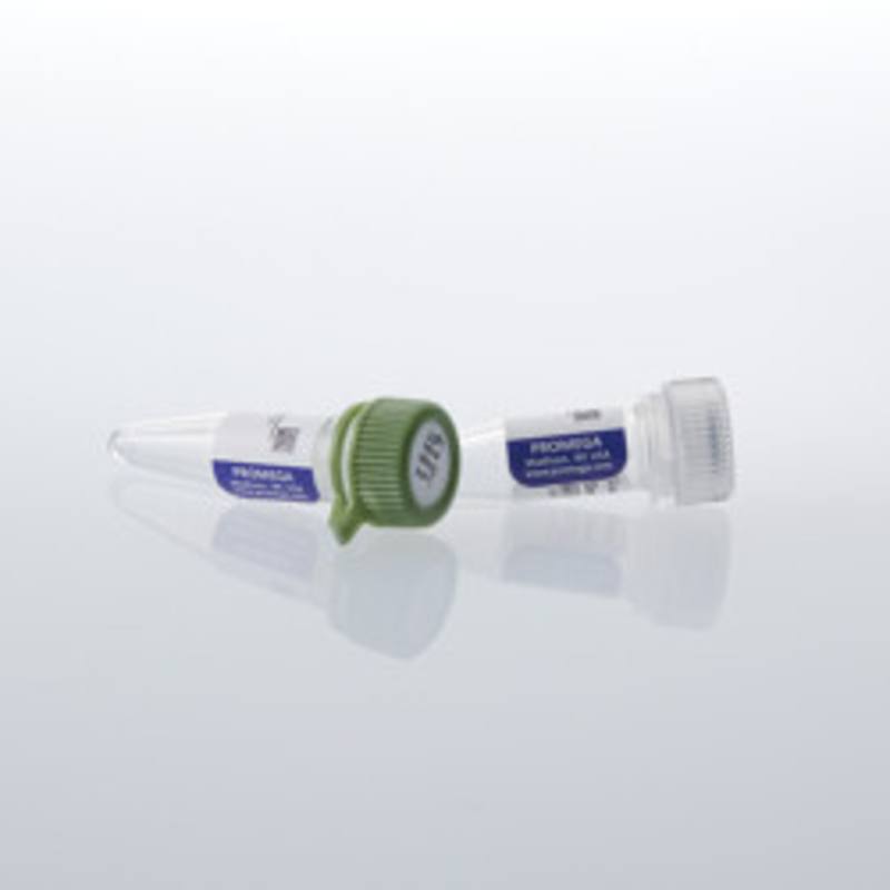Lumit(R) Streptavidin-LgBiT and -SmBiT, 20ul