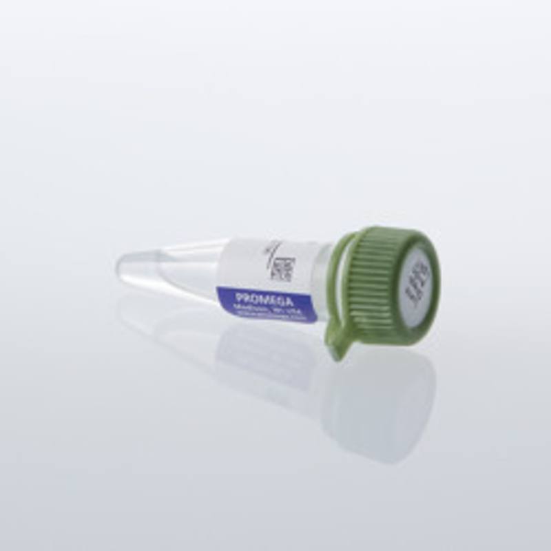 Lumit(R) Streptavidin-LgBiT, 200ul