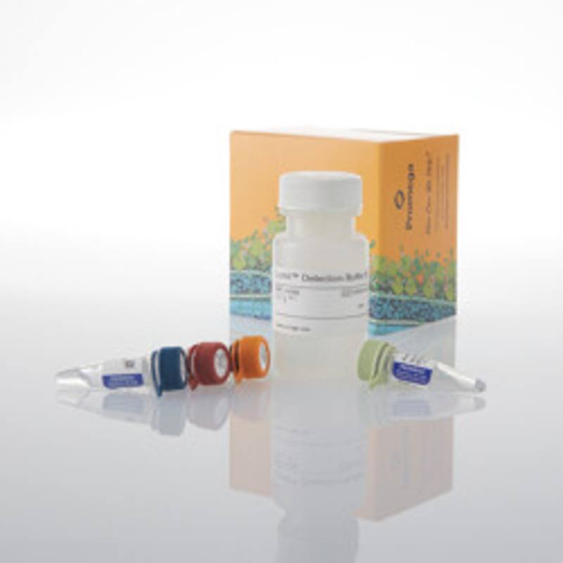 Lumit(R) IFN-beta (Human) Immunoassay, 1000 assays