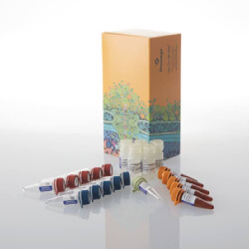 Lumit(R) IFN-beta (Human) Immunoassay, 500 assays
