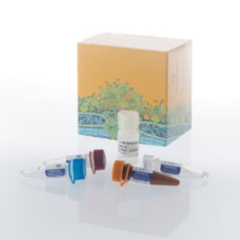 Lumit(R) VEGF-A (Human) Immunoassay, 100 assays