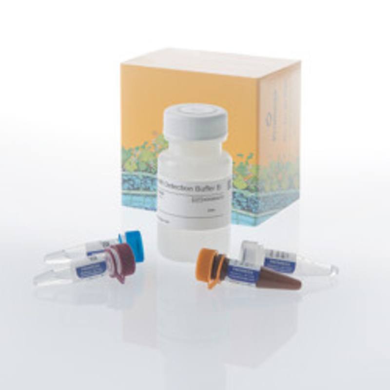 Lumit(R) VEGF-A (Human) Immunoassay, 1000 assays