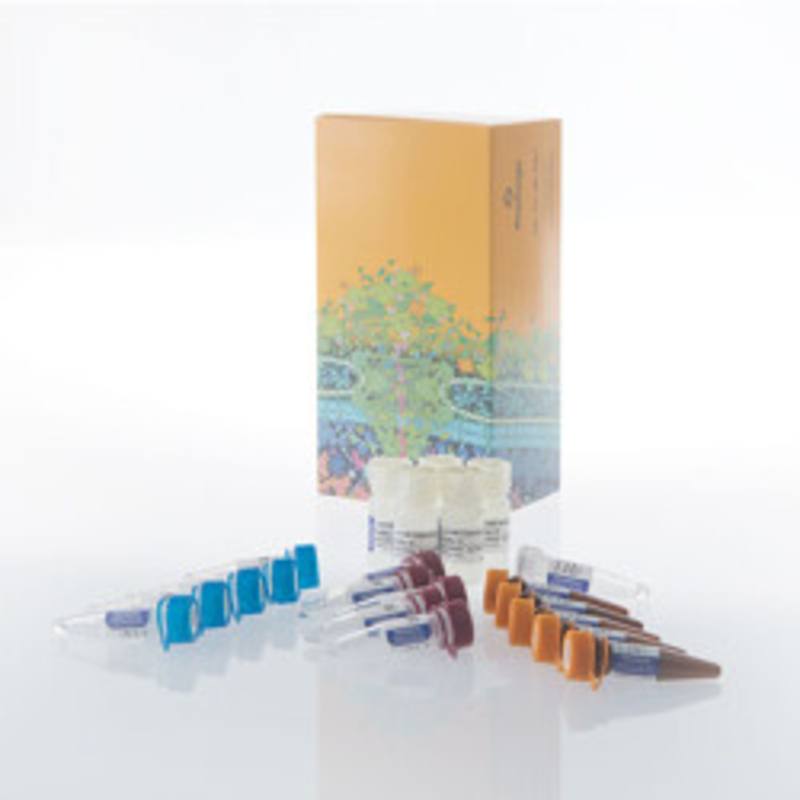 Lumit(R) VEGF-A (Human) Immunoassay, 500 assays