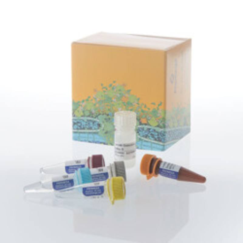 Lumit(R) Active IL-18 (Human) Immunoassay, 100 assays