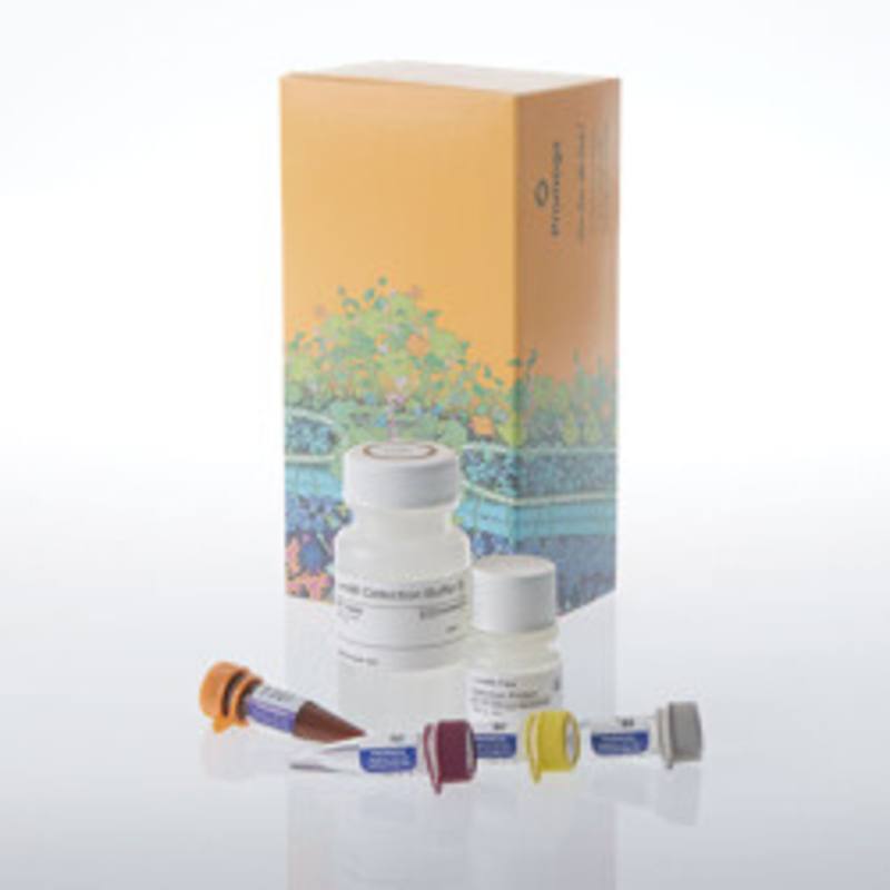 Lumit(R) Active IL-18 (Human) Immunoassay, 1000 assays