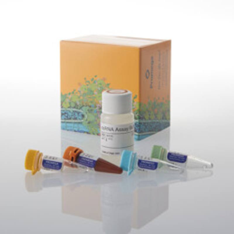Lumit(R) dsRNA Detection Assay, 100 Assays