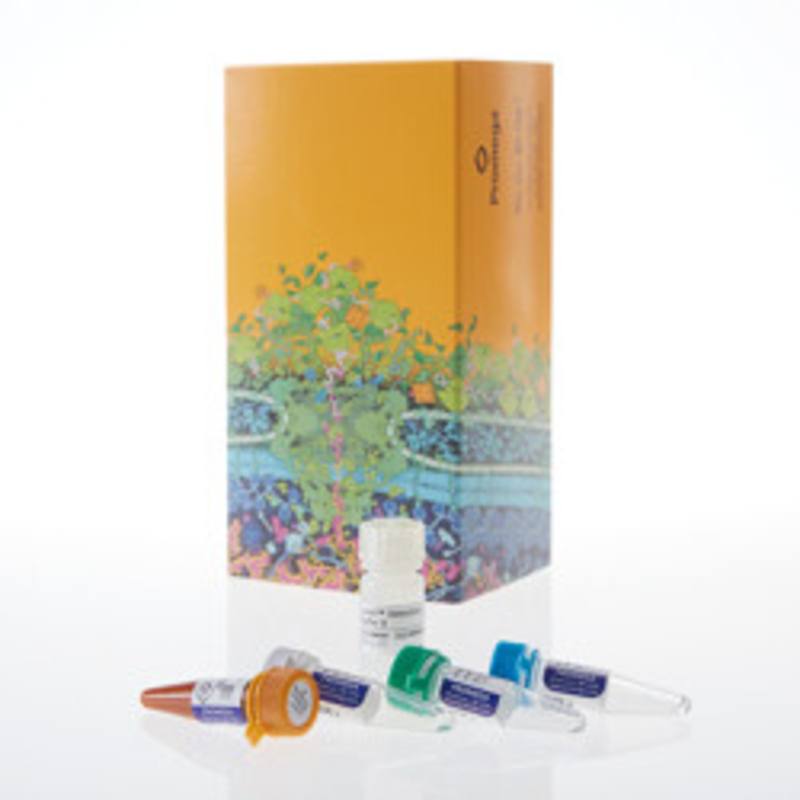 Lumit(R) Human IL-1beta Immunoassay, 100 assays