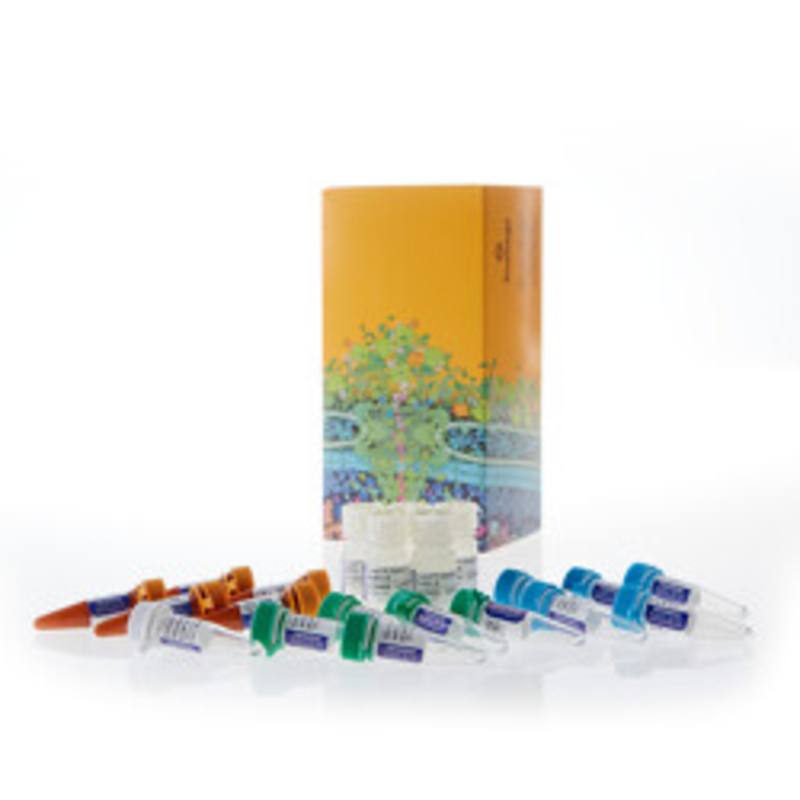Lumit(R) Human IL-1beta Immunoassay, 500 assays