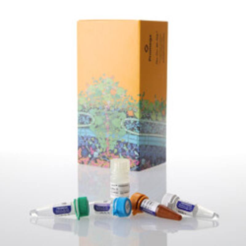 Lumit(R) IL-2 (Human) Immunoassay, 100 assays