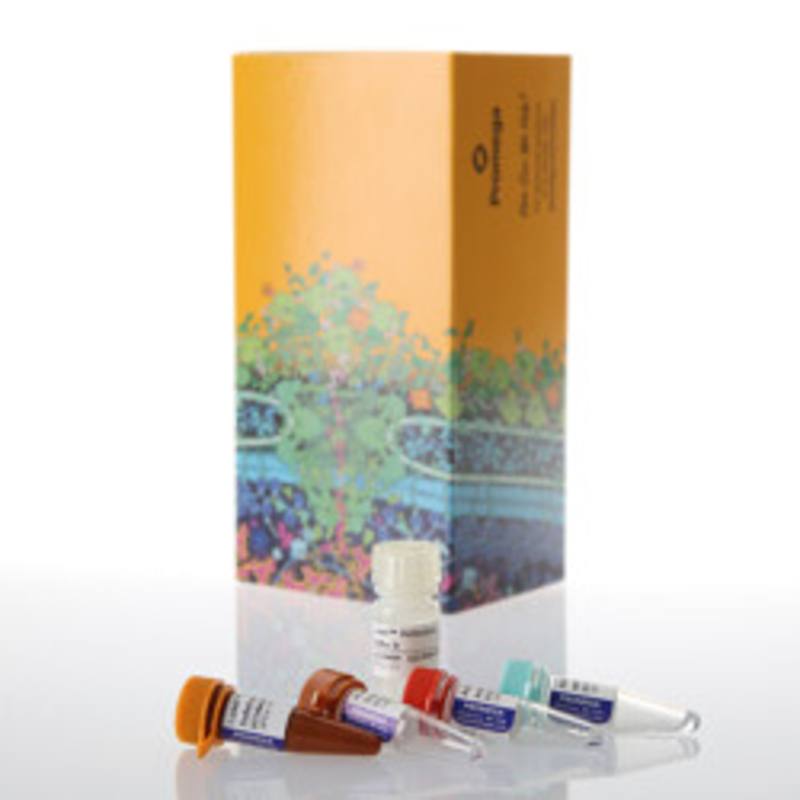 Lumit(R) IFN-gamma (Human) Immunoassay, 100 assays