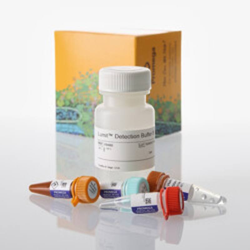 Lumit(R) IFN-gamma (Human) Immunoassay, 1000 assays